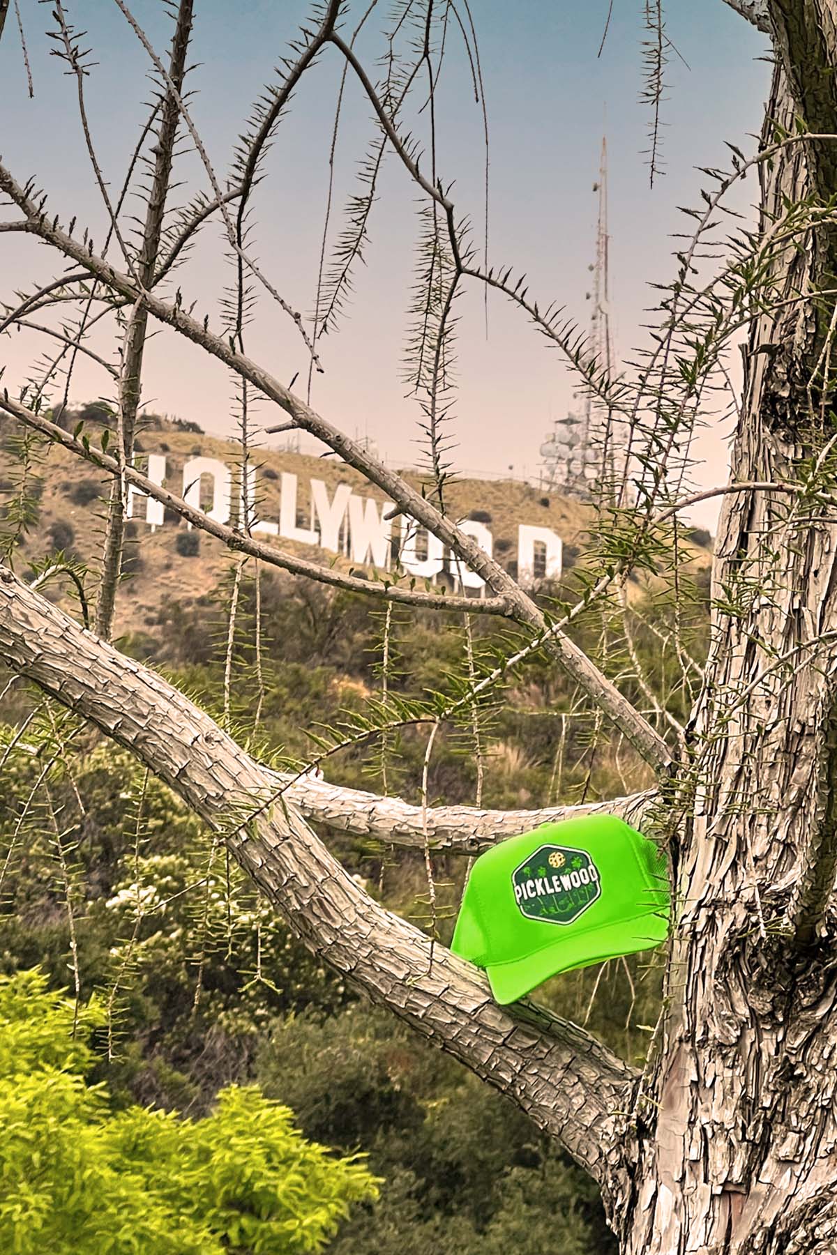 Picklewood Patched Tennis trucker Hat by Ace the Moon Tennis and pickleball apparel brand los angeles california